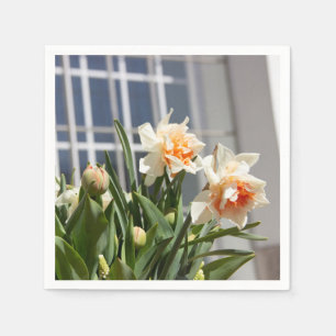 Delicate cute daffodils spring napkins