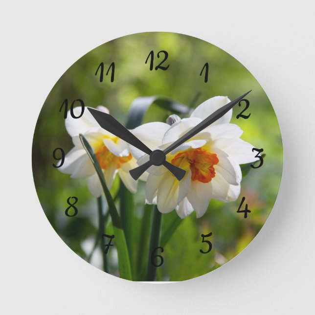 Delicate cute daffodils spring    round clock (Front)
