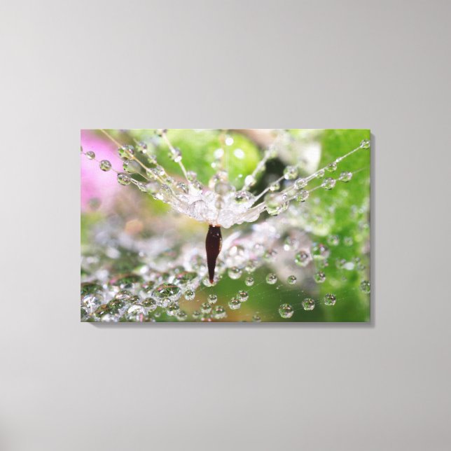 Delicate Dandelion Abstract Canvas Print (Front)