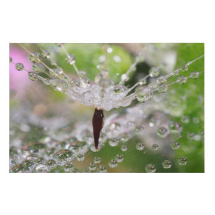 Delicate Dandelion Abstract Faux Canvas Print