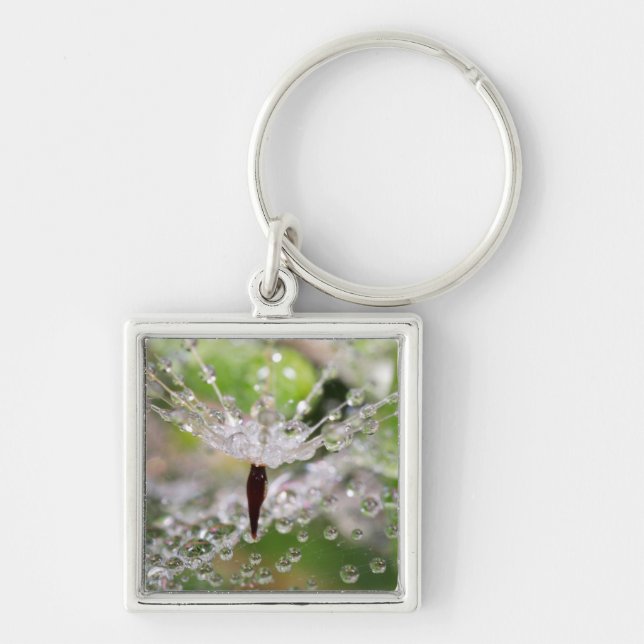 Delicate Dandelion Abstract Keychain (Front)