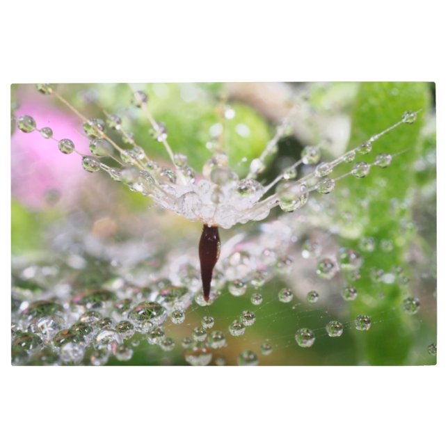 Delicate Dandelion Abstract Metal Print (Front)