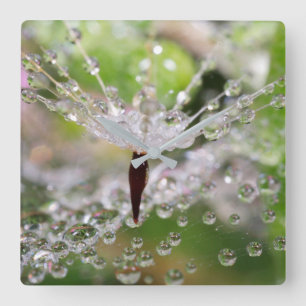 Delicate Dandelion Abstract Square Wall Clock