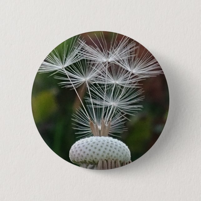 Delicate Dandelion Seeds  Button (Front)