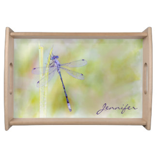 Delicate Dragonfly Serving Tray