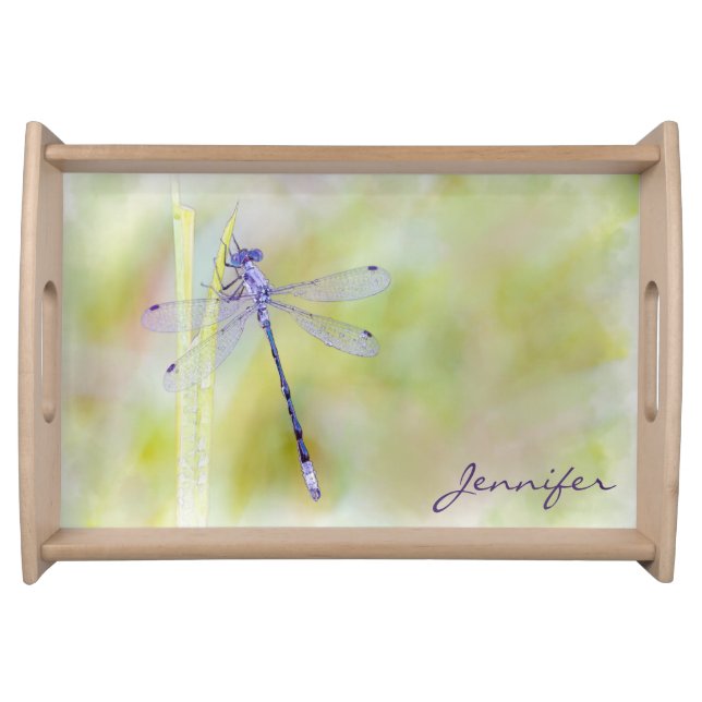 Delicate Dragonfly Serving Tray (Front)