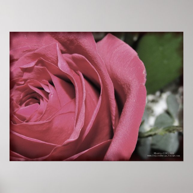 Delicate Feelings Poster (Front)