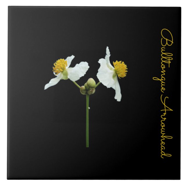 Delicate floral on black ceramic tile (Front)