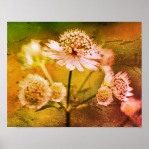 Delicate Flowers Abstract Distressed Art Poster
