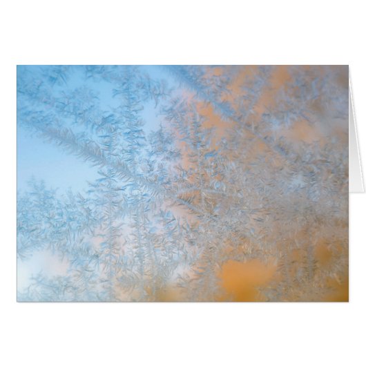 Delicate frost pattern, Wisconsin Cards (Front Horizontal)
