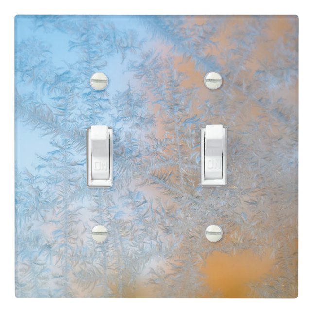 Delicate frost pattern, Wisconsin Light Switch Cover (In Situ)