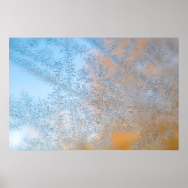 Delicate frost pattern, Wisconsin Poster (Front)
