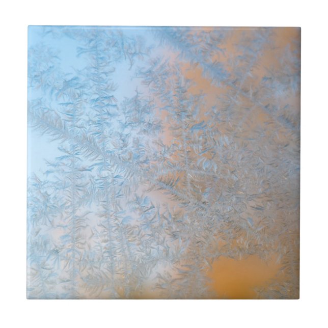 Delicate frost pattern, Wisconsin Tile (Front)