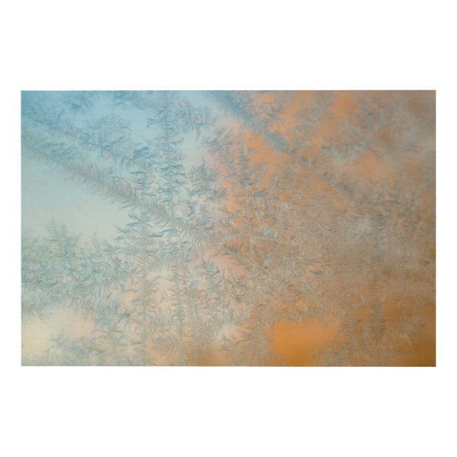 Delicate frost pattern, Wisconsin Wood Wall Decor (Front)