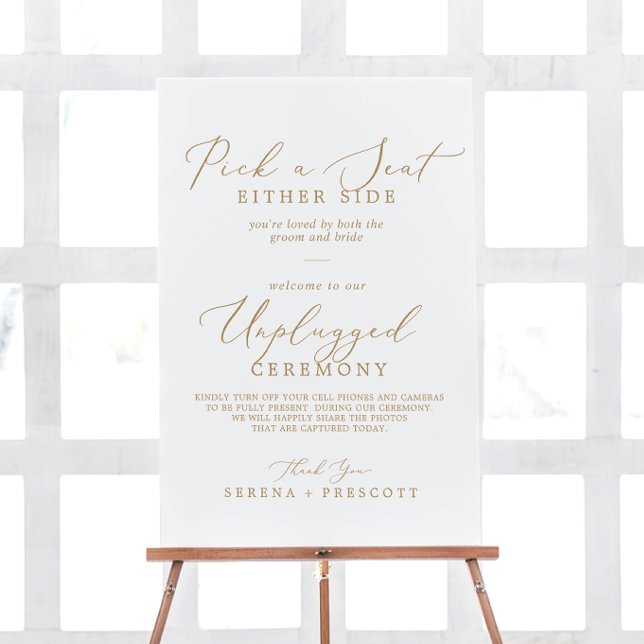 Delicate Gold Pick a Seat Unplugged Ceremony Foam Board (Creator Uploaded)
