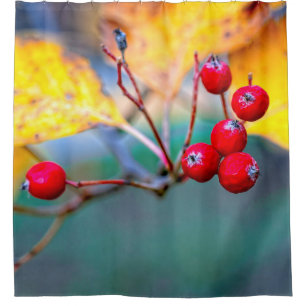 Delicate hawthorn berries in autumn shower curtain
