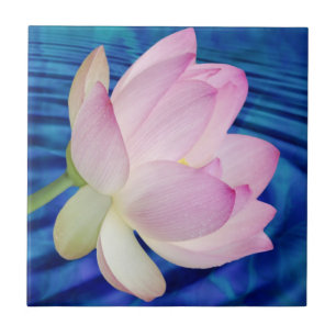Delicate Lotus flower and meaning Ceramic Tile