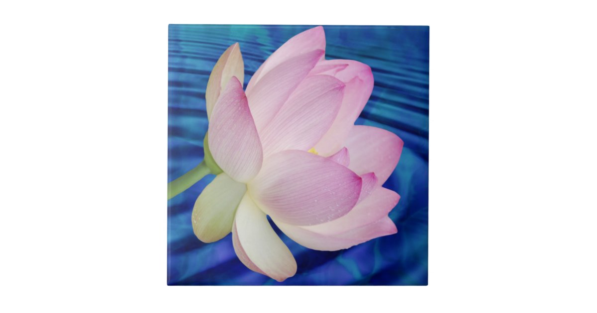 Delicate Lotus flower and meaning Ceramic Tile | Zazzle