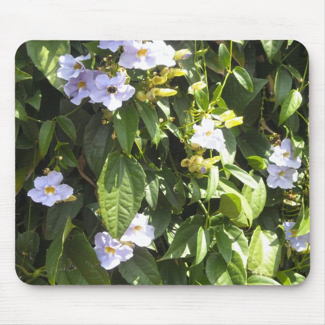Delicate Morning Glories Mouse Pad (Front)
