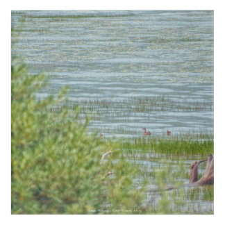 Delicate Movement Acrylic Print