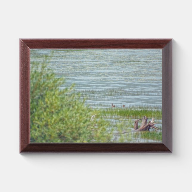 Delicate Movement Award Plaque (Horizontal)