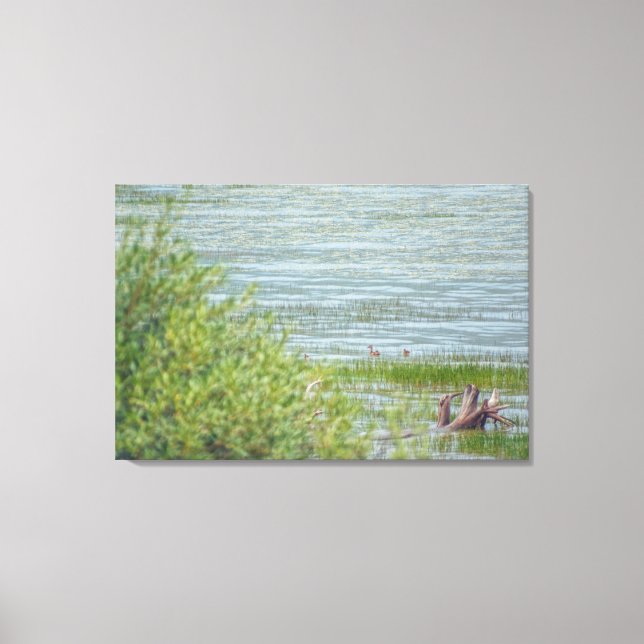 Delicate Movement Canvas Print (Front)