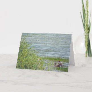 Delicate Movement Card