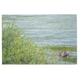 Delicate Movement Metal Print
