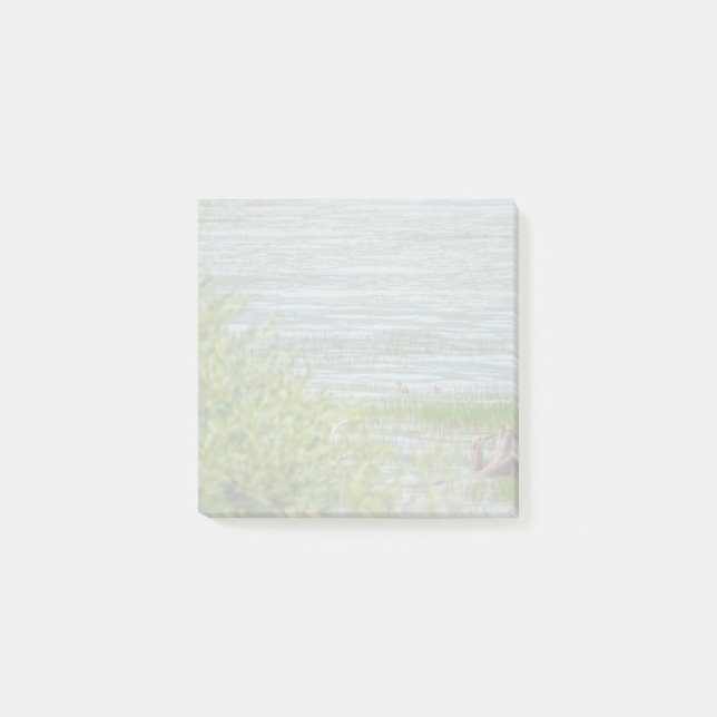 Delicate Movement Post-it Notes (Front)