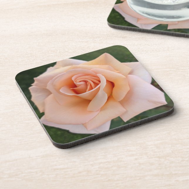 Delicate Orange Rose Bloom Floral Beverage Coaster (Left Side)