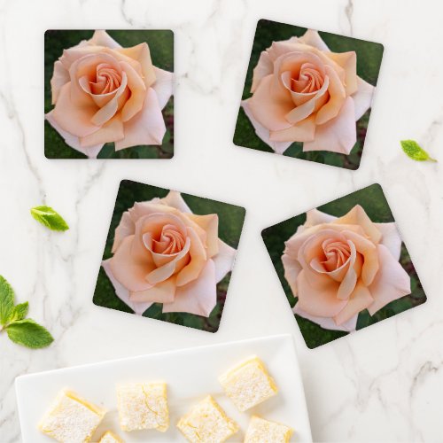 Delicate Orange Rose Bloom Floral Coaster Set