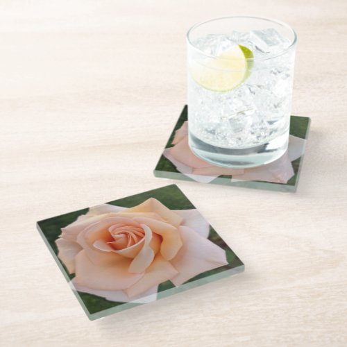 Delicate Orange Rose Bloom Floral Glass Coaster