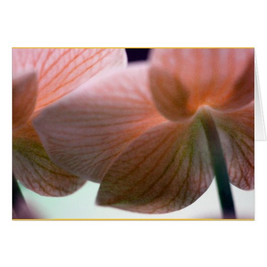 Delicate Orchids Cards (Front Horizontal)