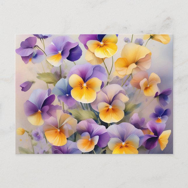 Delicate Pansy Flowers in Soft Watercolor Postcard (Front)