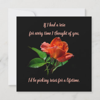 Delicate Peach Rose On Black Card