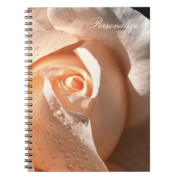 Delicate Peach Rose With Dew Notebook by PhotographyTKDesigns at Zazzle