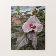 "Delicate petals" Hibiscus Flower