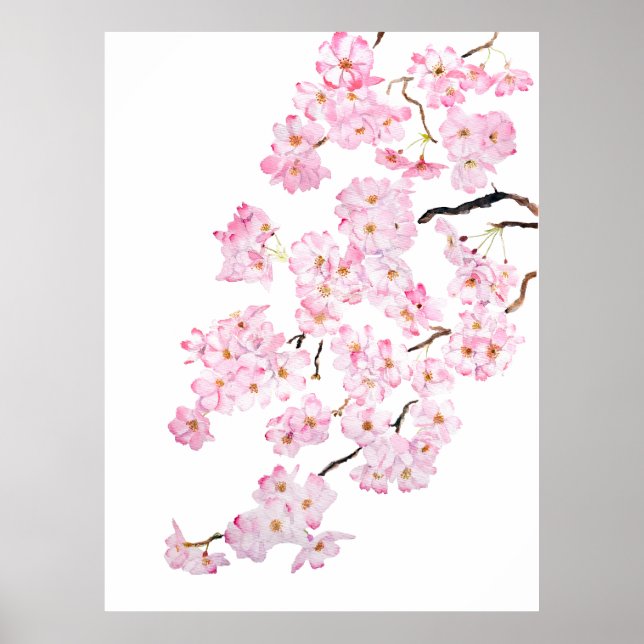 Delicate Pink cherry blossom watercolor 2024 2 Poster (Front)