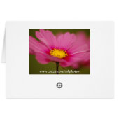 Delicate Pink Floral (Back Horizontal)