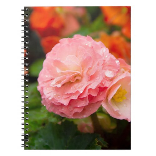 Delicate pink flower after the rain    notebook