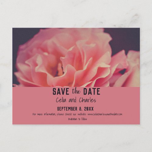 Delicate Pink Peonies Announcement Postcard