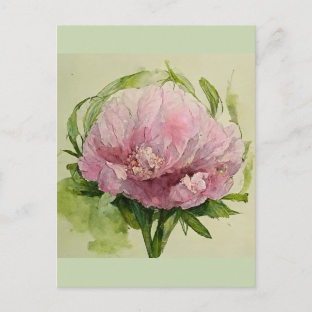 Delicate pink peony  postcard (Front)