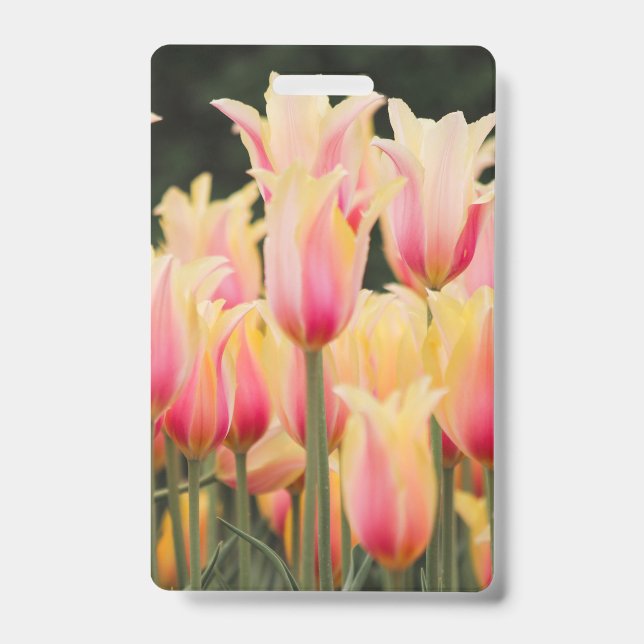 Delicate Pink Petals Badge (Front)