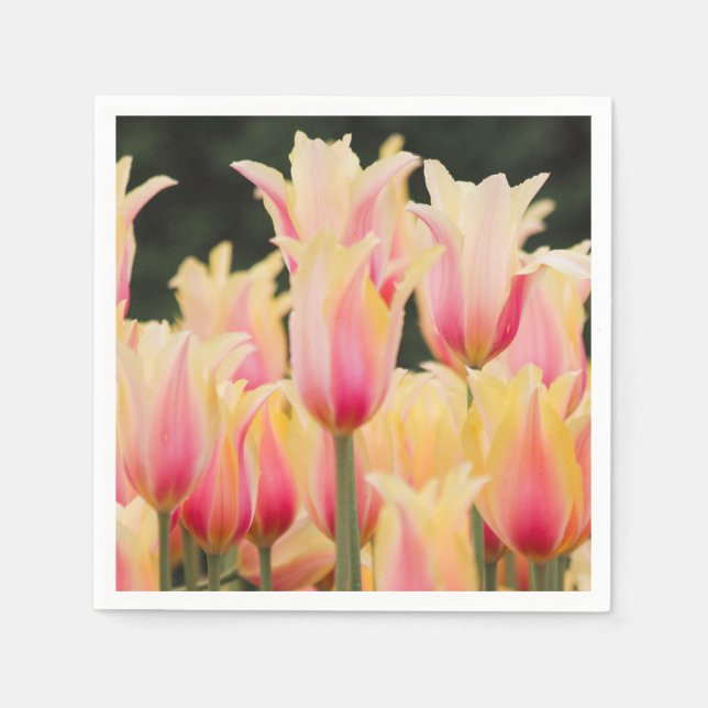 Delicate Pink Petals Napkins (Front)