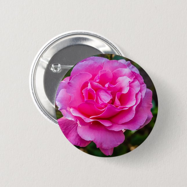 Delicate pink rose. button (Front & Back)