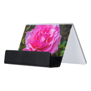 Delicate pink rose. desk business card holder