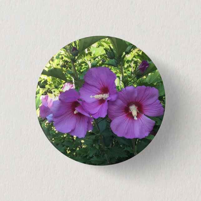 Delicate Pink Rose of Sharon/Hibiscus Flower Photo Button (Front)