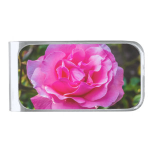 Delicate pink rose. silver finish money clip