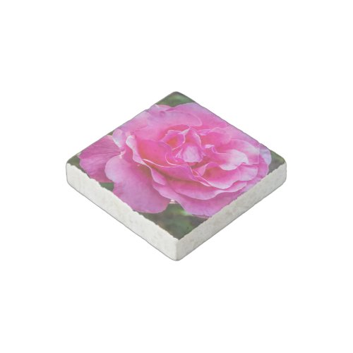 Delicate pink rose stone magnet