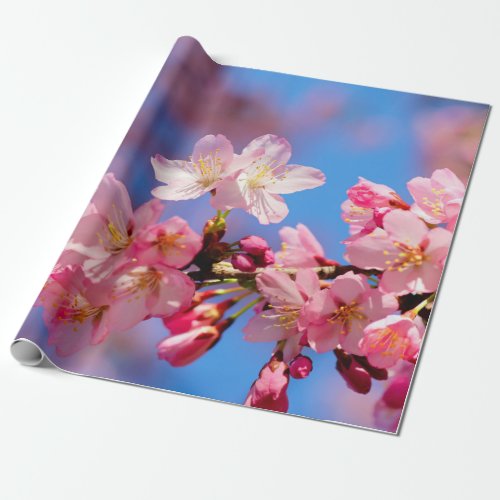 Delicate Pink Sakura Flowers Wrapping Paper